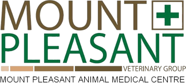 Kasey Tan - Mount Pleasant Veterinary Group, Singapore