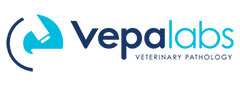 Vepalabs