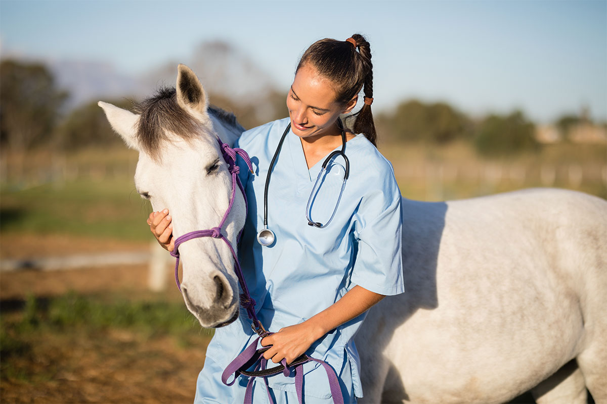 How Can Inventory Management Transform Veterinary Practices?