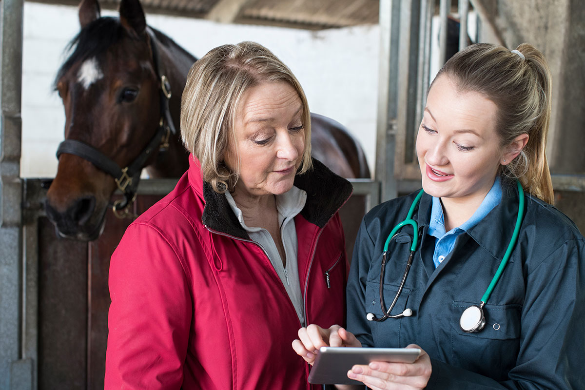 The Best Way to Increase Efficiency of Vet Clinic Staff