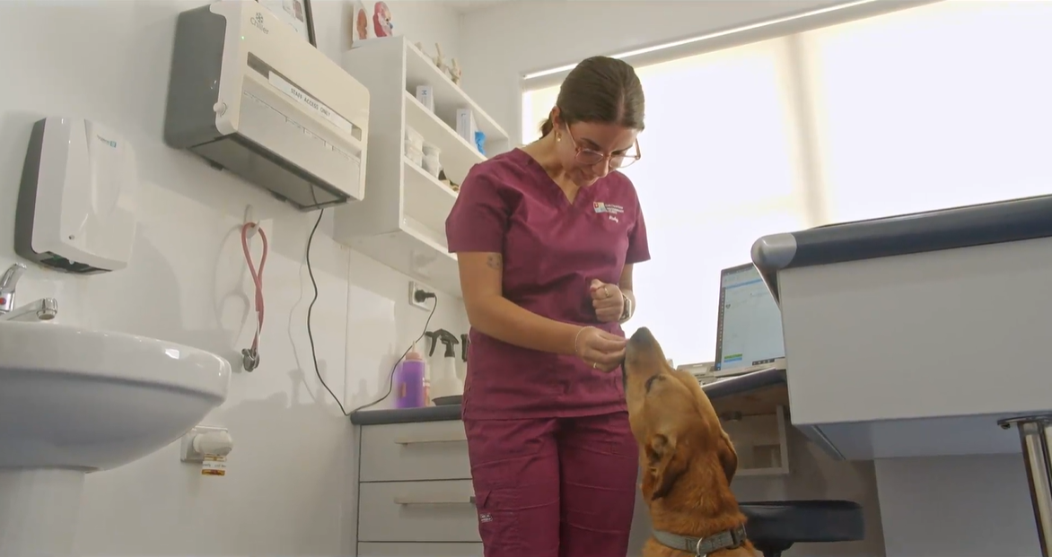 VetlinkPRO Unveils Groundbreaking Video Highlighting the Future of Veterinary Practice Management