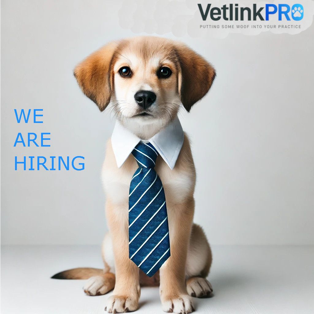 Join VetlinkPRO – We’re Hiring a National Account Manager!