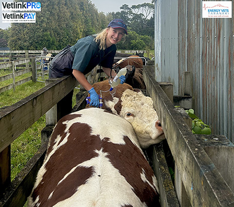 Energy Vets in the Spotlight: How VetlinkPRO Powers Rural Innovation