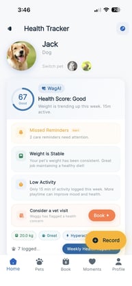 wagwise-