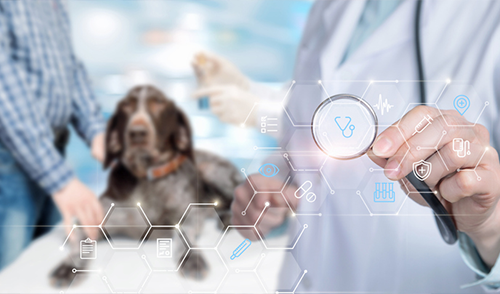 Gain Valuable Insights